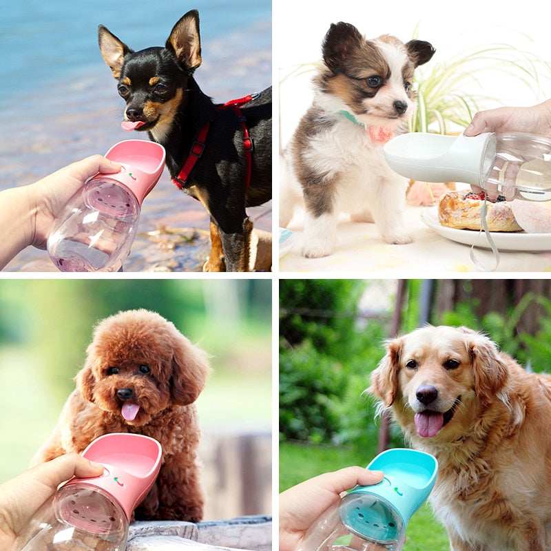Botella de agua portátil para mascotas